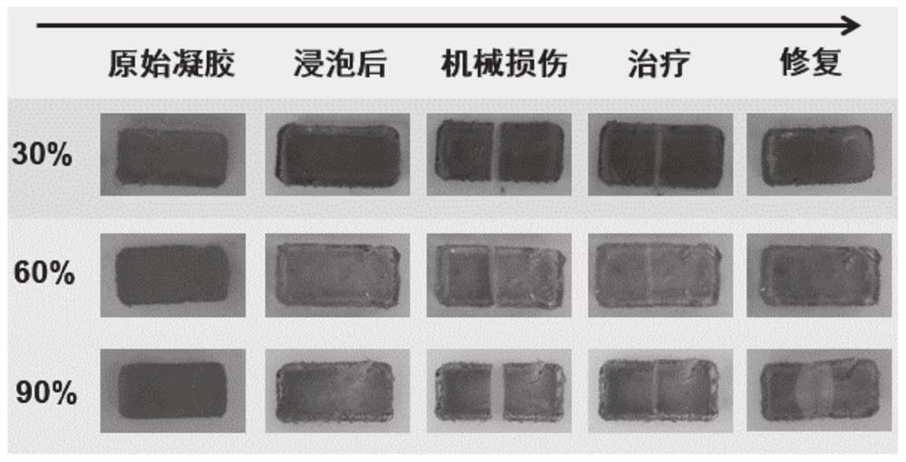 Method for realizing temporary restorability of dynamically stable gel based on pure chemical reaction