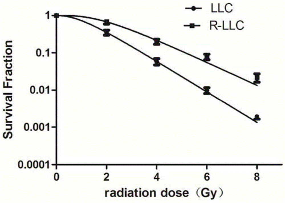 Radioresistant lung cancer whole-cell vaccine, and preparation method and application thereof