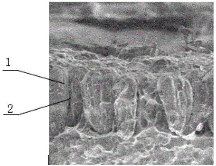 Magnet surface treatment method