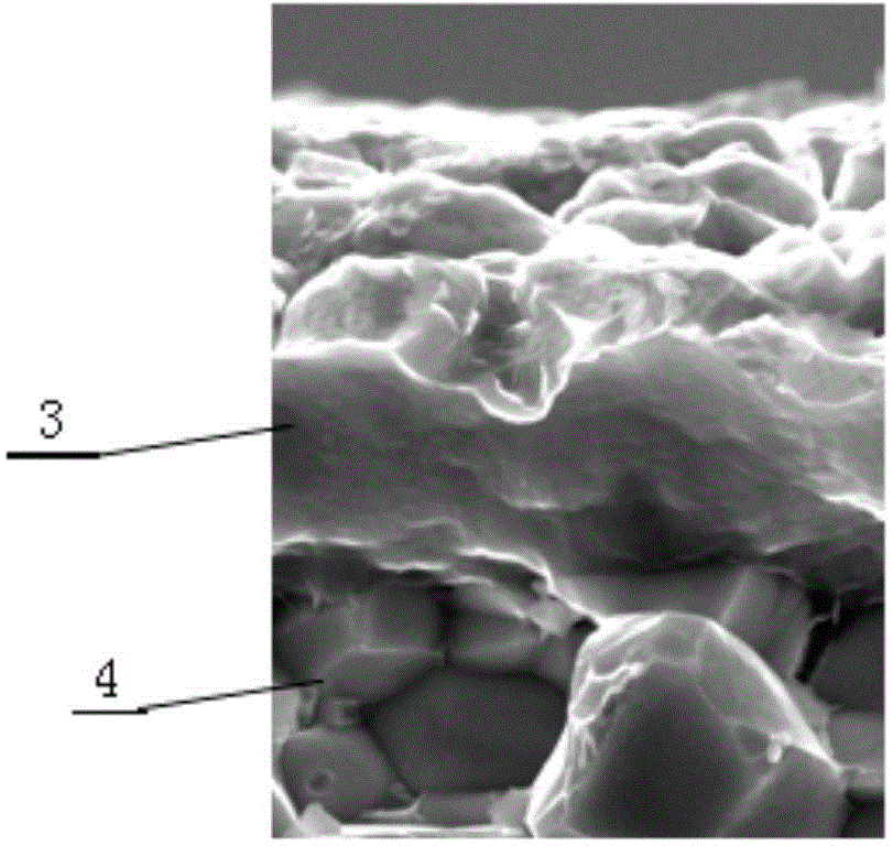 Magnet surface treatment method