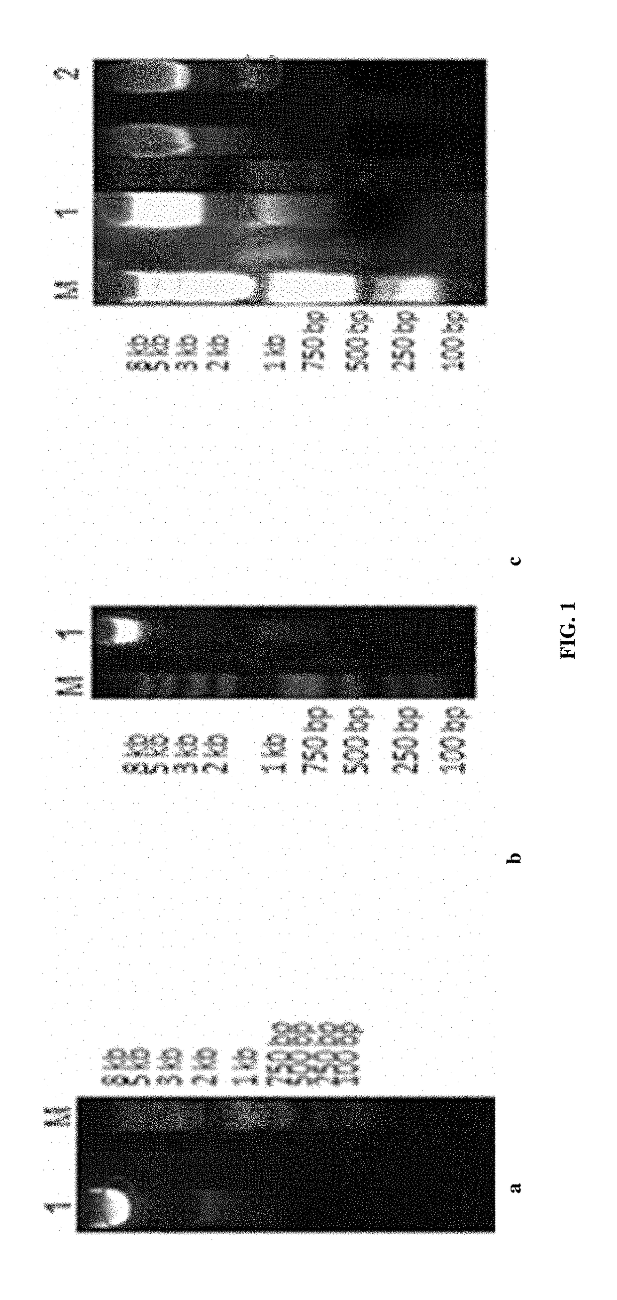 ANTI-TNF-alpha FULLY HUMAN MONOCLONAL ANTIBODIES WITH LOW IMMUNOGENICITY AND APPLICATION THEREOF