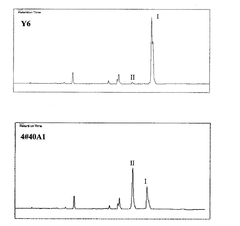Method for enabling Dunaliella to accumulate high-content lycopene