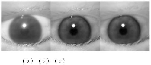 Head-mounted device authentication method based on pupil light reflection