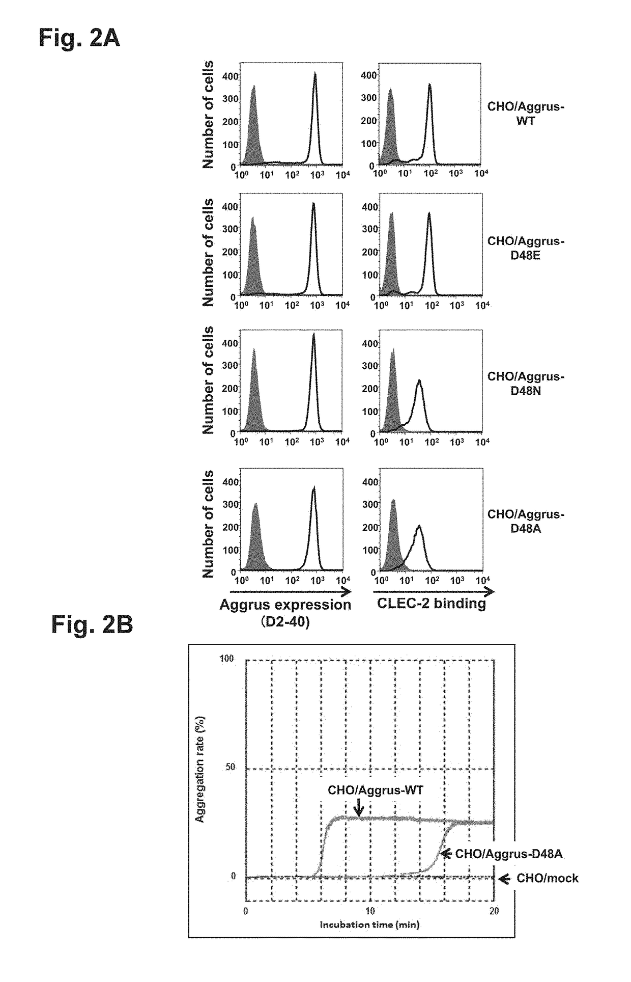 Anti-aggrus monoclonal antibody, domain in aggrus which is required for binding to clec-2, and method for screening for aggrus-clec-2 binding inhibitor