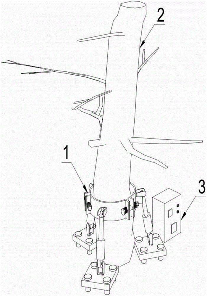 Straightening device for preventing garden trees from obliquely growing and work method thereof