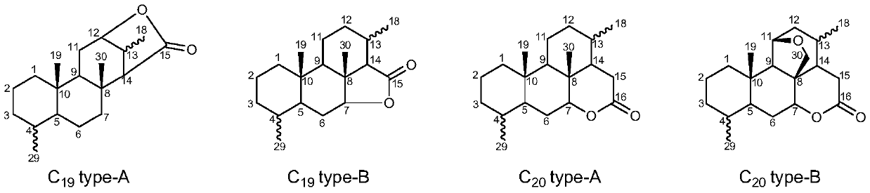 Application of picrasma quassioides bitter principle compounds in ant killing