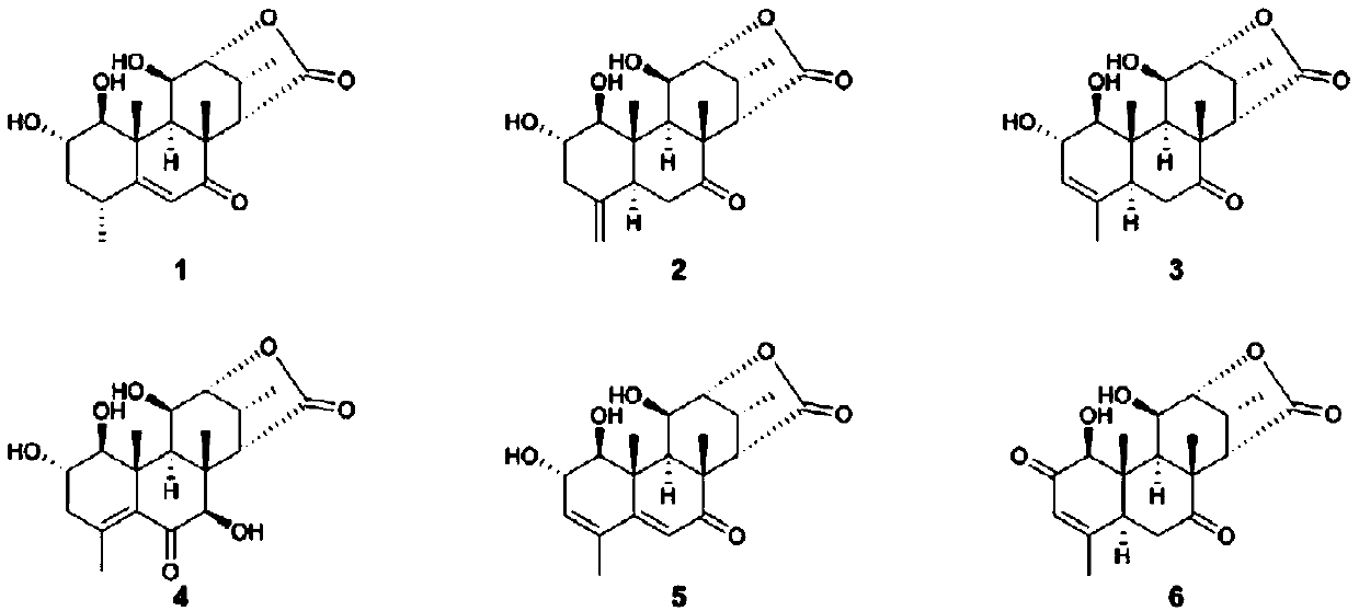 Application of picrasma quassioides bitter principle compounds in ant killing