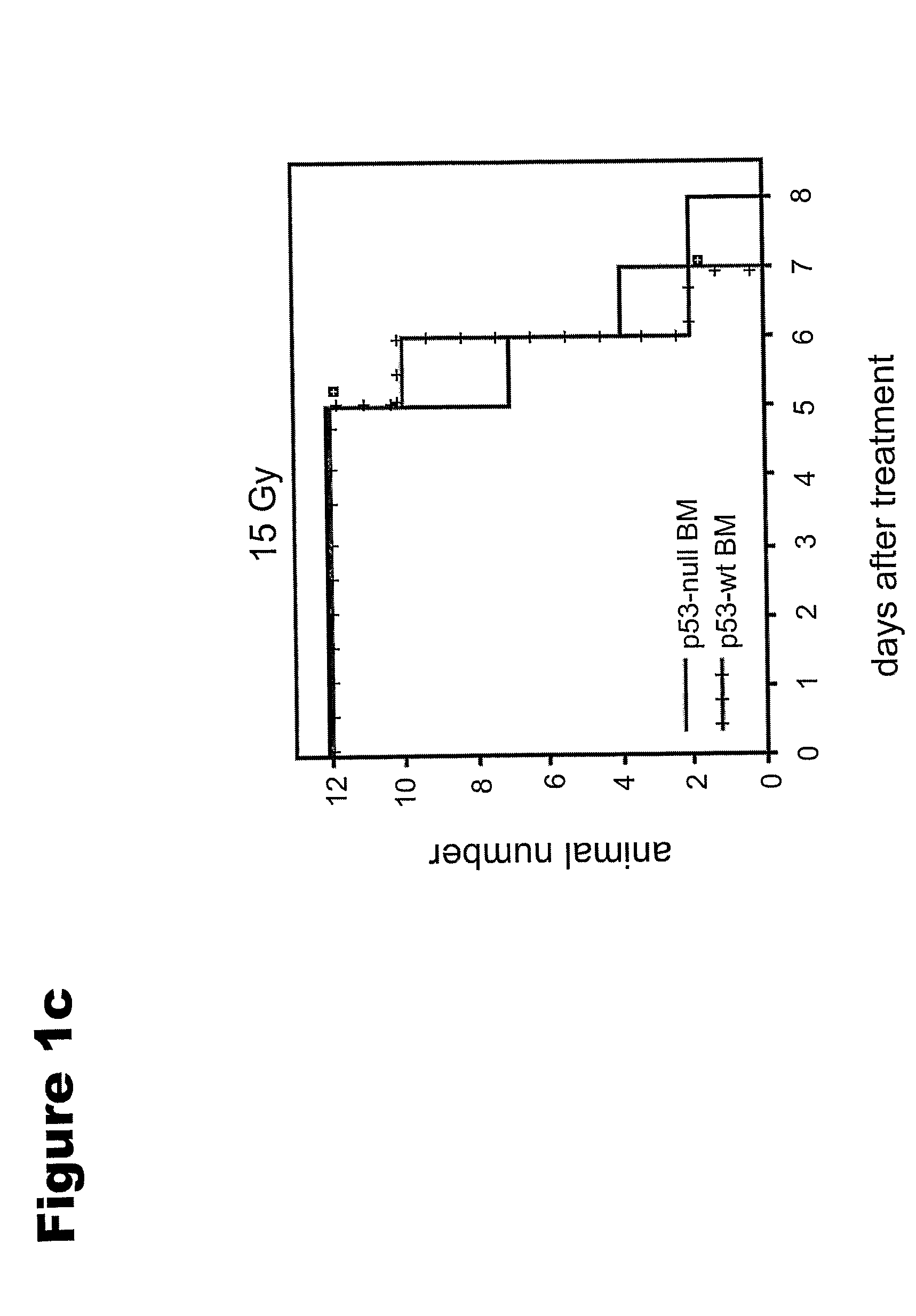 Methods of protecting against apoptosis using lipopeptides
