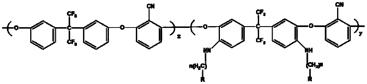 Long-chain branched poly(arylene ether nitrile) anion exchange membrane and preparation method thereof