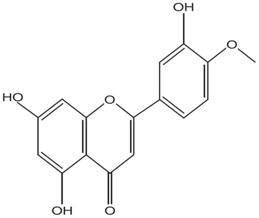 Application of diosmetin and method for establishing animal model of diosmetin