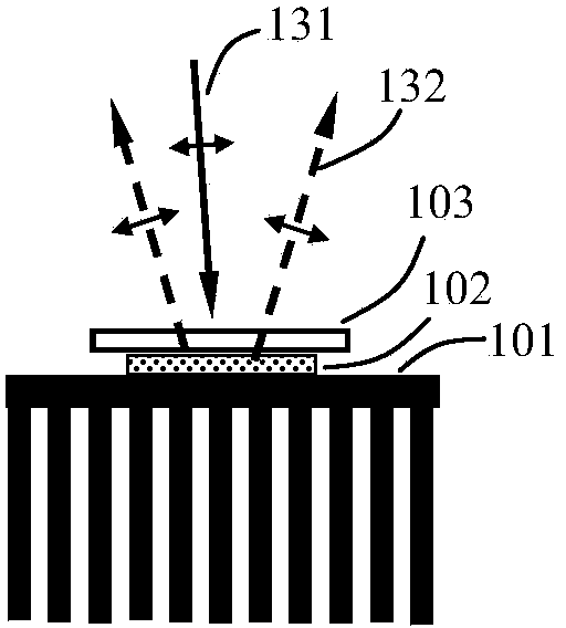 Polarized light-emitting device
