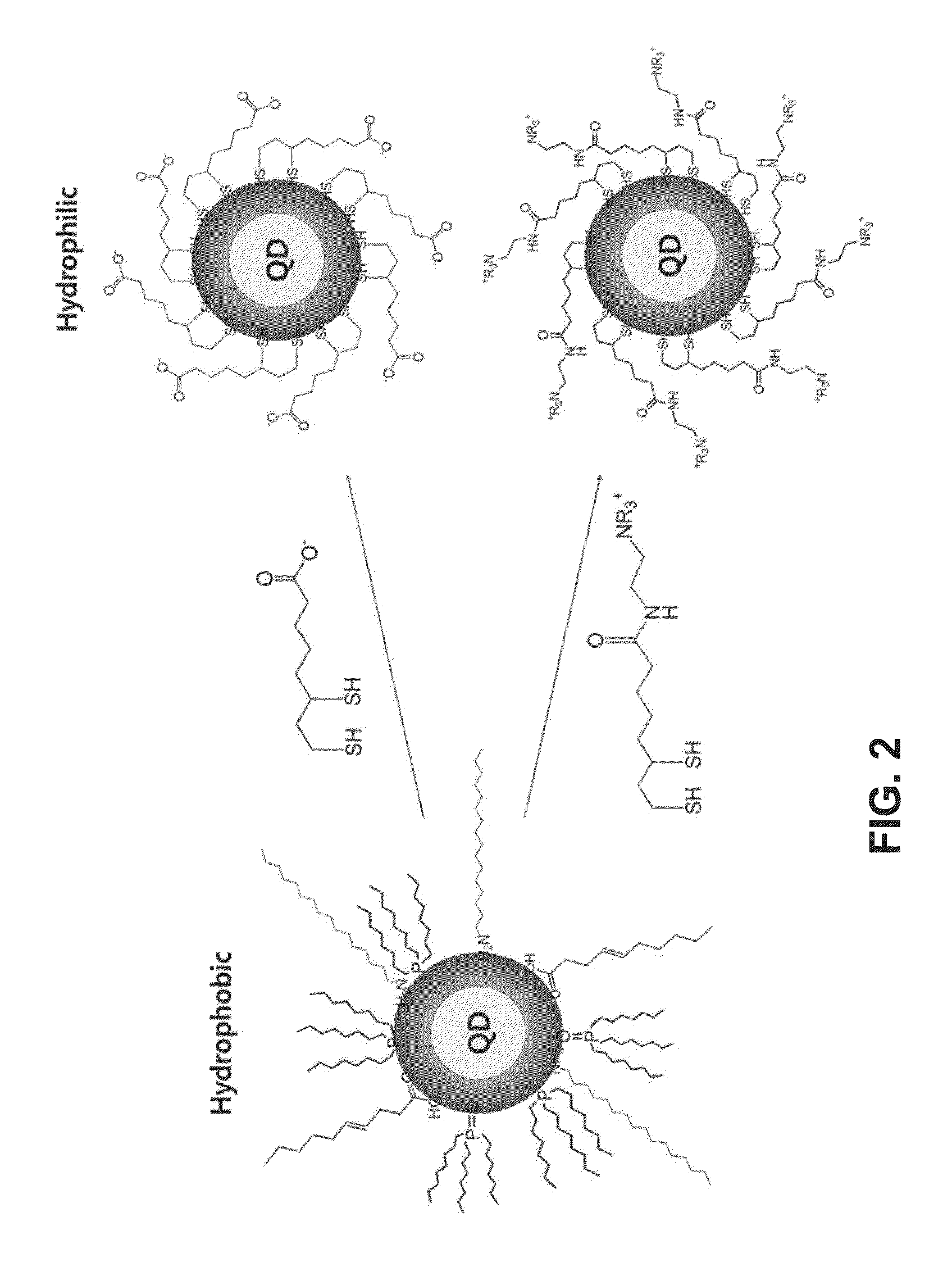 Synthesis of molecule on nanoparticle surface for stable detection of nitroaromatic explosives, and sensor using same