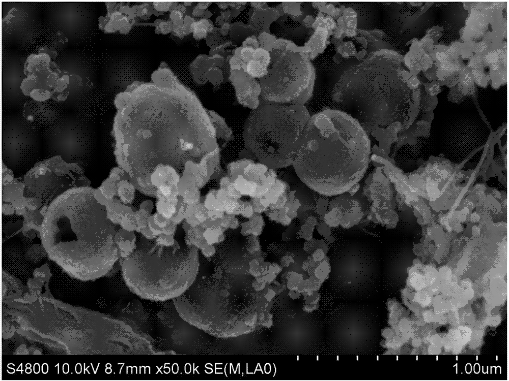 Method for treating seawater-containing sewage through marine anaerobic ammonium oxidation bacteria