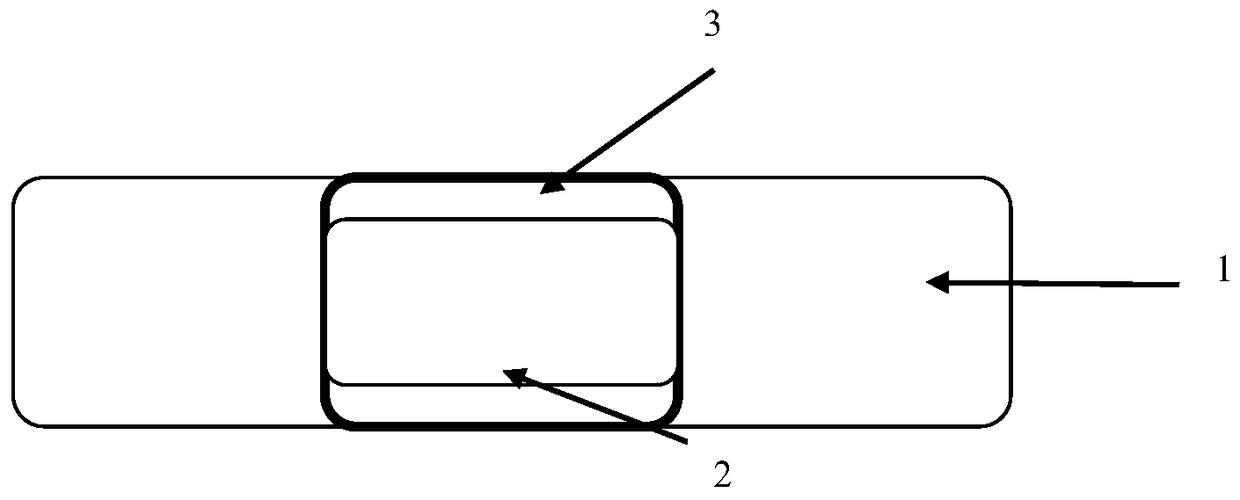 A kind of hydrophilic macromolecule gel layer and Chuanhong dredging collateral plaster prepared therefrom