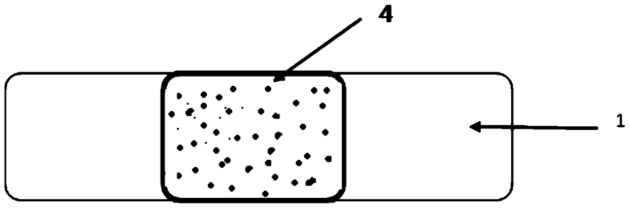 A kind of hydrophilic macromolecule gel layer and Chuanhong dredging collateral plaster prepared therefrom