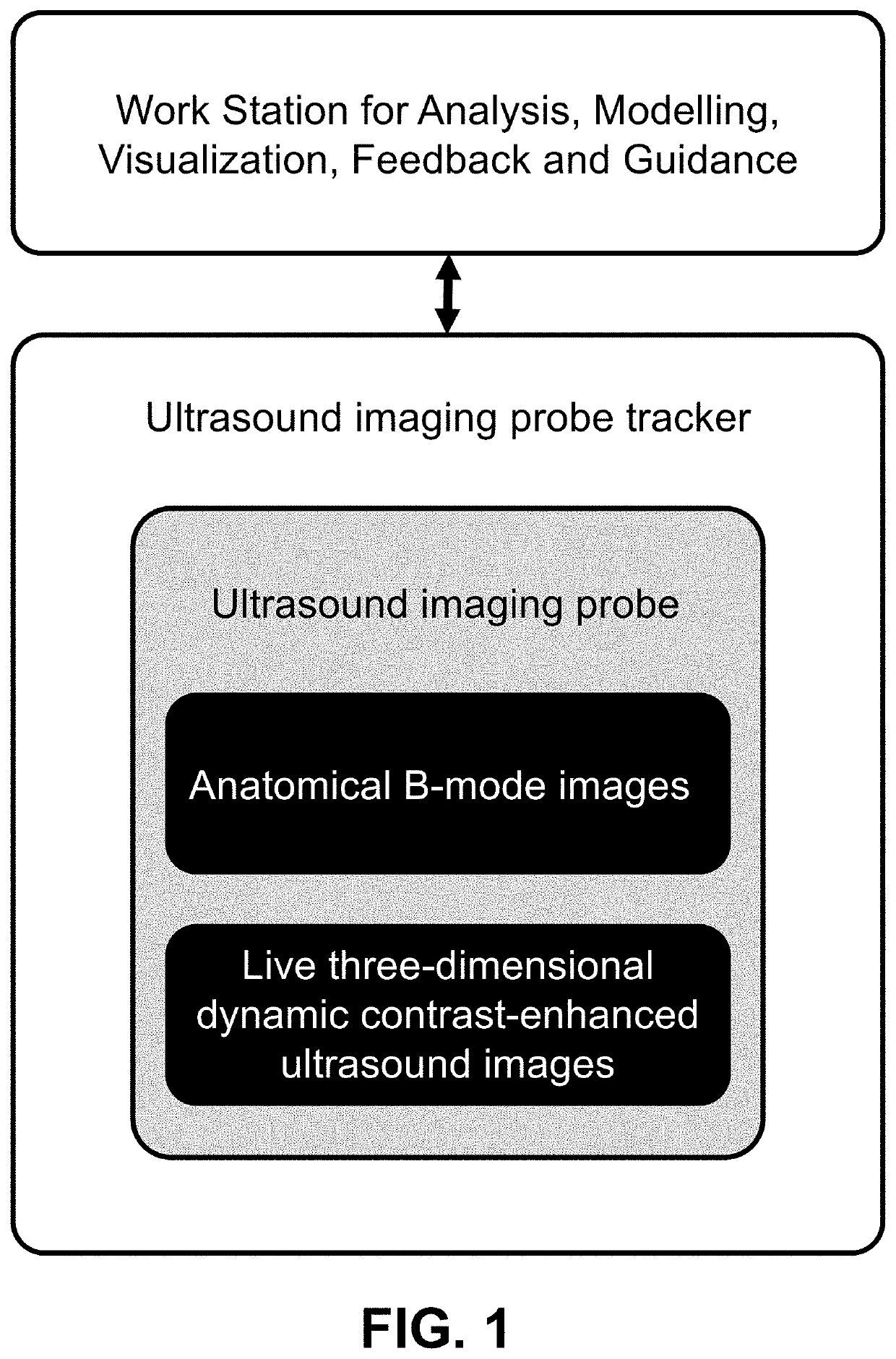 Three-Dimensional Dynamic Contrast Enhanced Ultrasound and Real-Time Intensity Curve Steady-State Verification during Ultrasound-Contrast Infusion