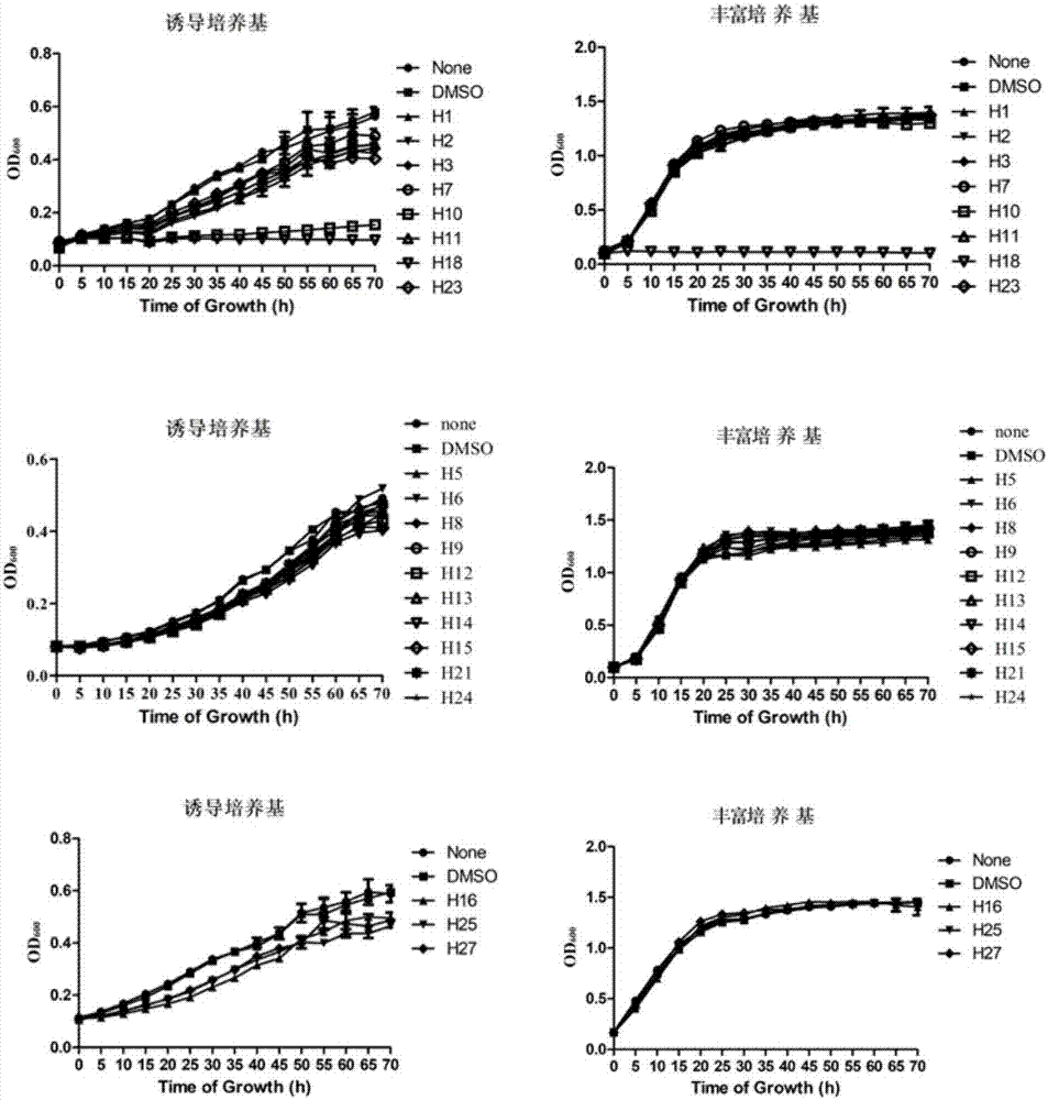 Application of 1,3,4-thiadiazole compounds to prevention and treatment of rice xanthomonas oryzae