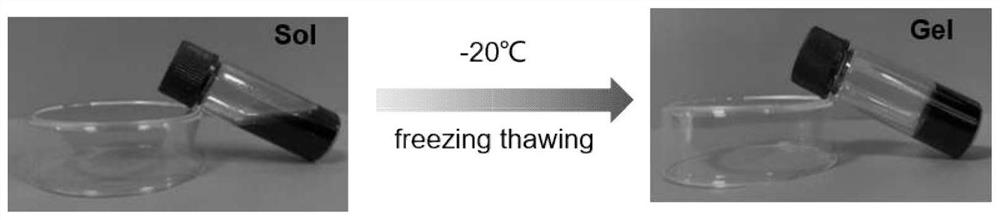 Preparation method and application of oriented conductive low-temperature-resistant hydrogel