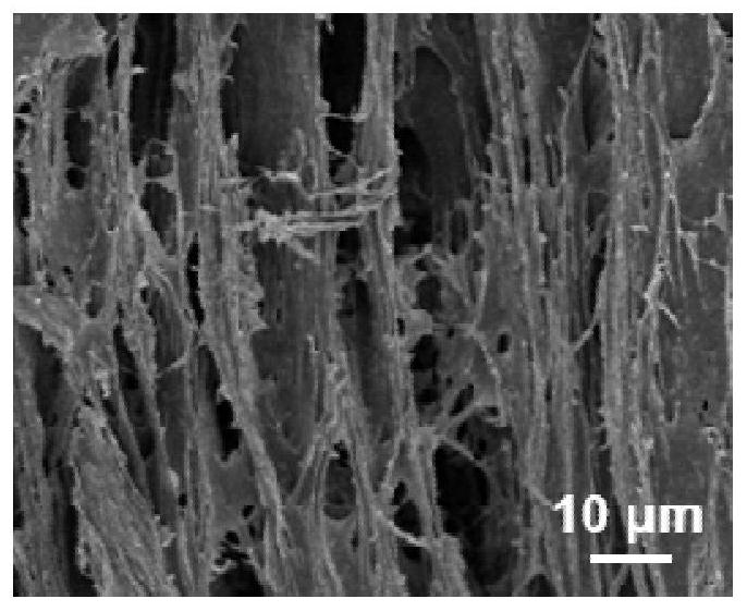 Preparation method and application of oriented conductive low-temperature-resistant hydrogel