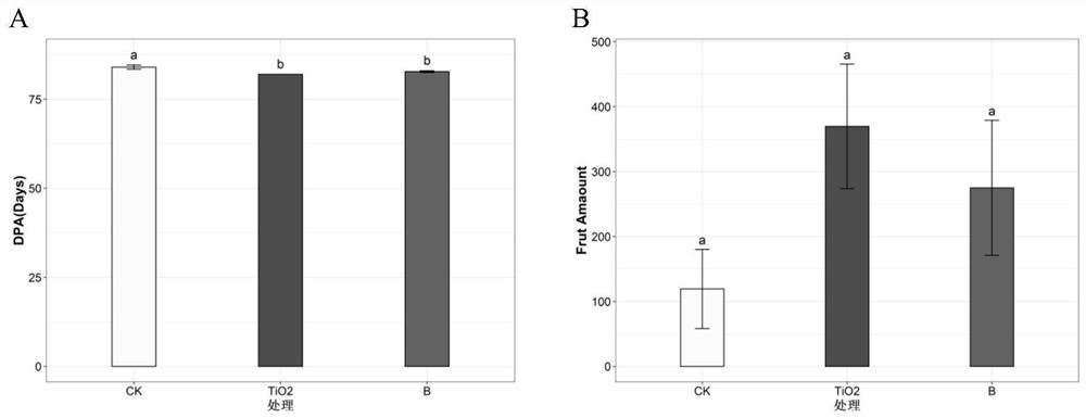 Method for improving quality of litchi chinensis fruits by utilizing nano titanium dioxide