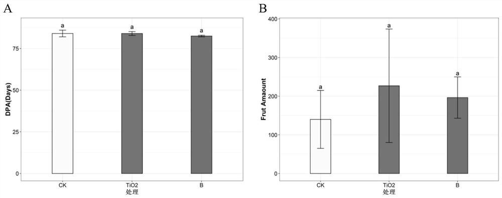 Method for improving quality of litchi chinensis fruits by utilizing nano titanium dioxide