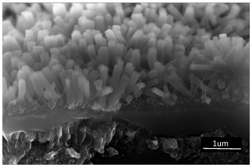 Polymeric micellar coating for sequential delivery of immunomodulatory factors on nanorod arrayed surface and preparation method and application