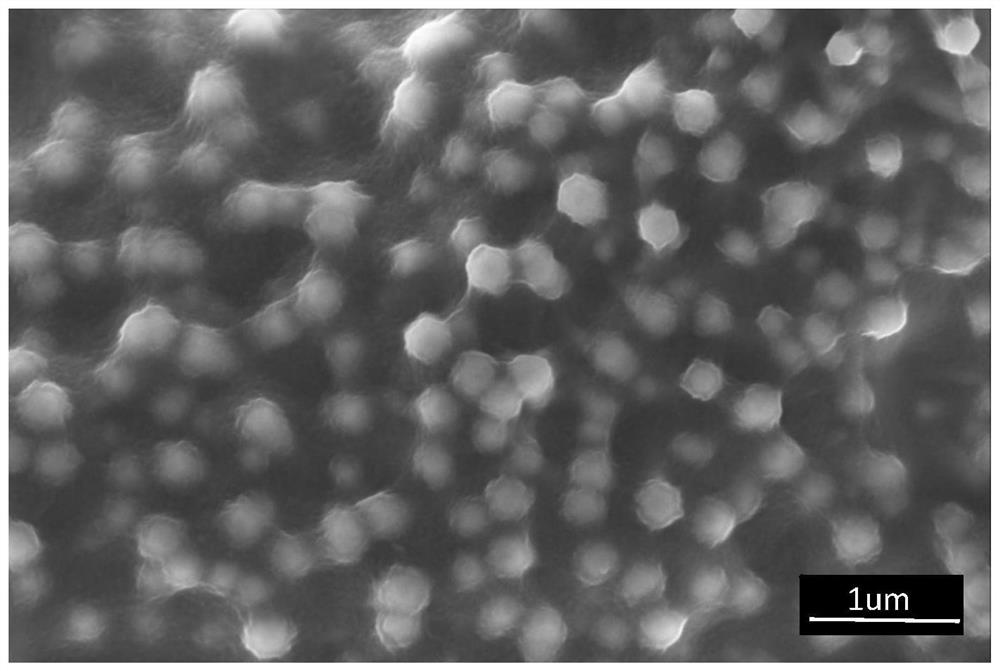 Polymeric micellar coating for sequential delivery of immunomodulatory factors on nanorod arrayed surface and preparation method and application