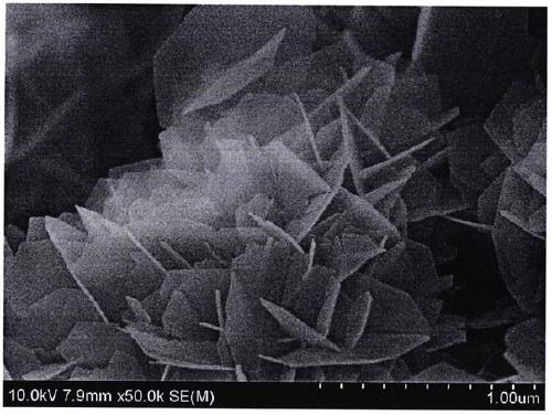 a flake  <sub>2</sub> w  <sub>3</sub> o  <sub>12</sub> synthesis method