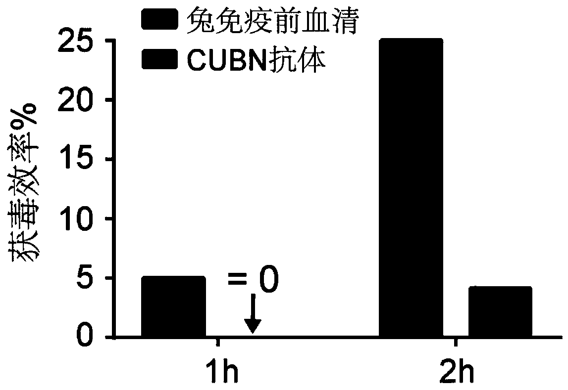 Pesticide for inhibiting acquisition and transmission of geminivirus by Bemisia tabaci and method for controlling transmission of geminivirus