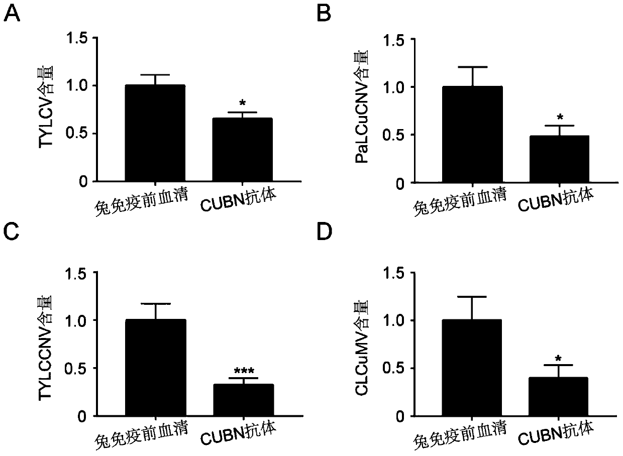 Pesticide for inhibiting acquisition and transmission of geminivirus by Bemisia tabaci and method for controlling transmission of geminivirus