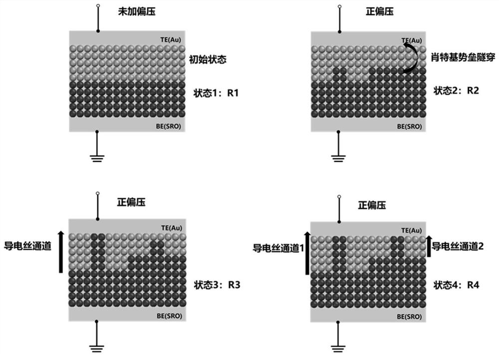 SrFeOx resistive random access memory with multi-valued characteristic as well as preparation and application of SrFeOx resistive random access memory