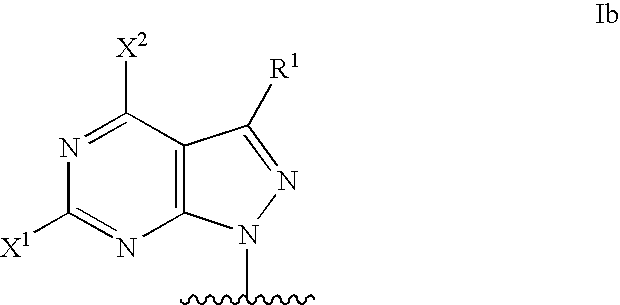 Modified oligonucleotides for mismatch discrimination