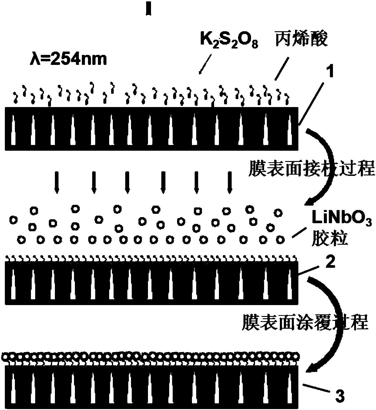Nonlinear photocatalytic film for total nitrogen treatment in tail water of sewage treatment plant and application thereof