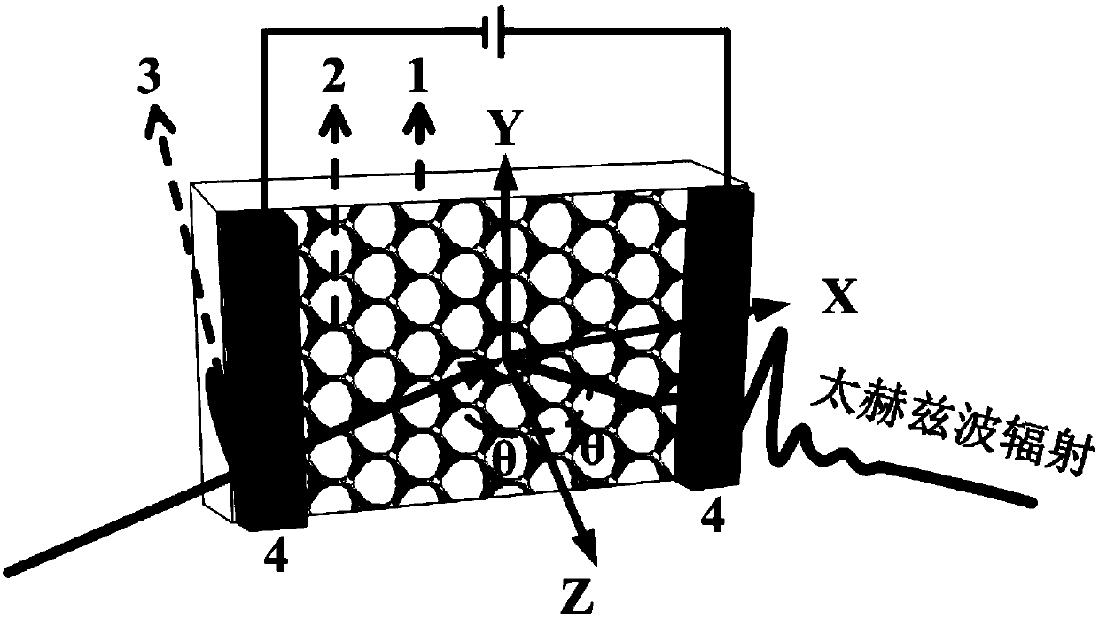 Terahertz emission source based on transition metal chalcogenide and excitation method