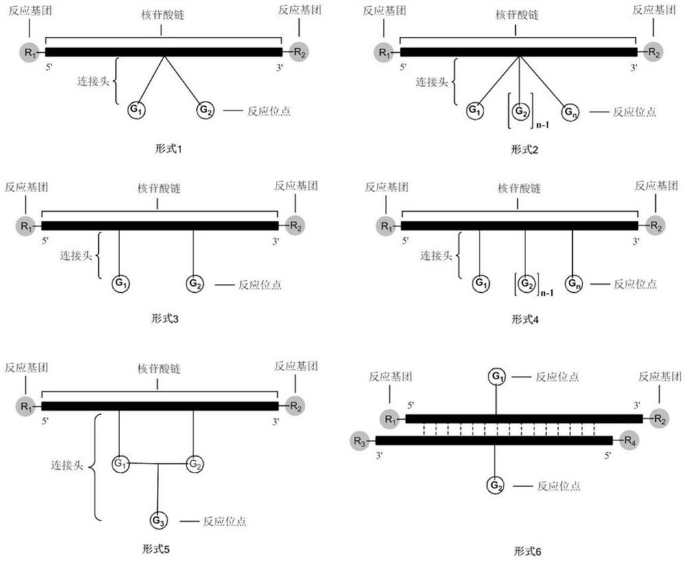 A method for preparing DNA-encoded compound library, starting head fragment compound and prepared DNA-encoded compound