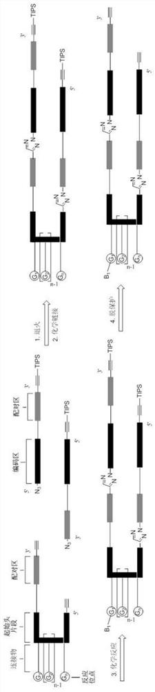 A method for preparing DNA-encoded compound library, starting head fragment compound and prepared DNA-encoded compound