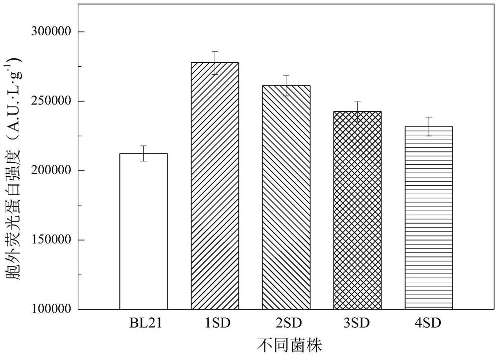 Method for increasing the extracellular secretion level of Escherichia coli recombinant protein