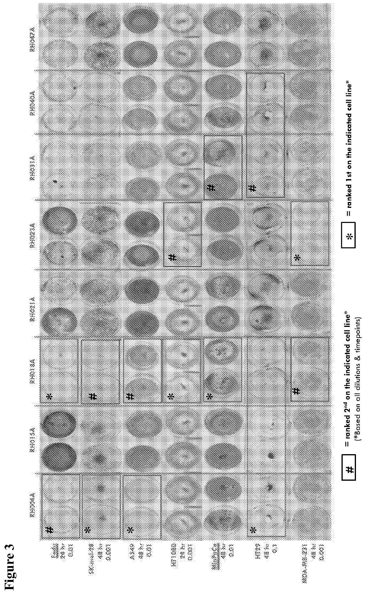 Treatment using oncolytic virus