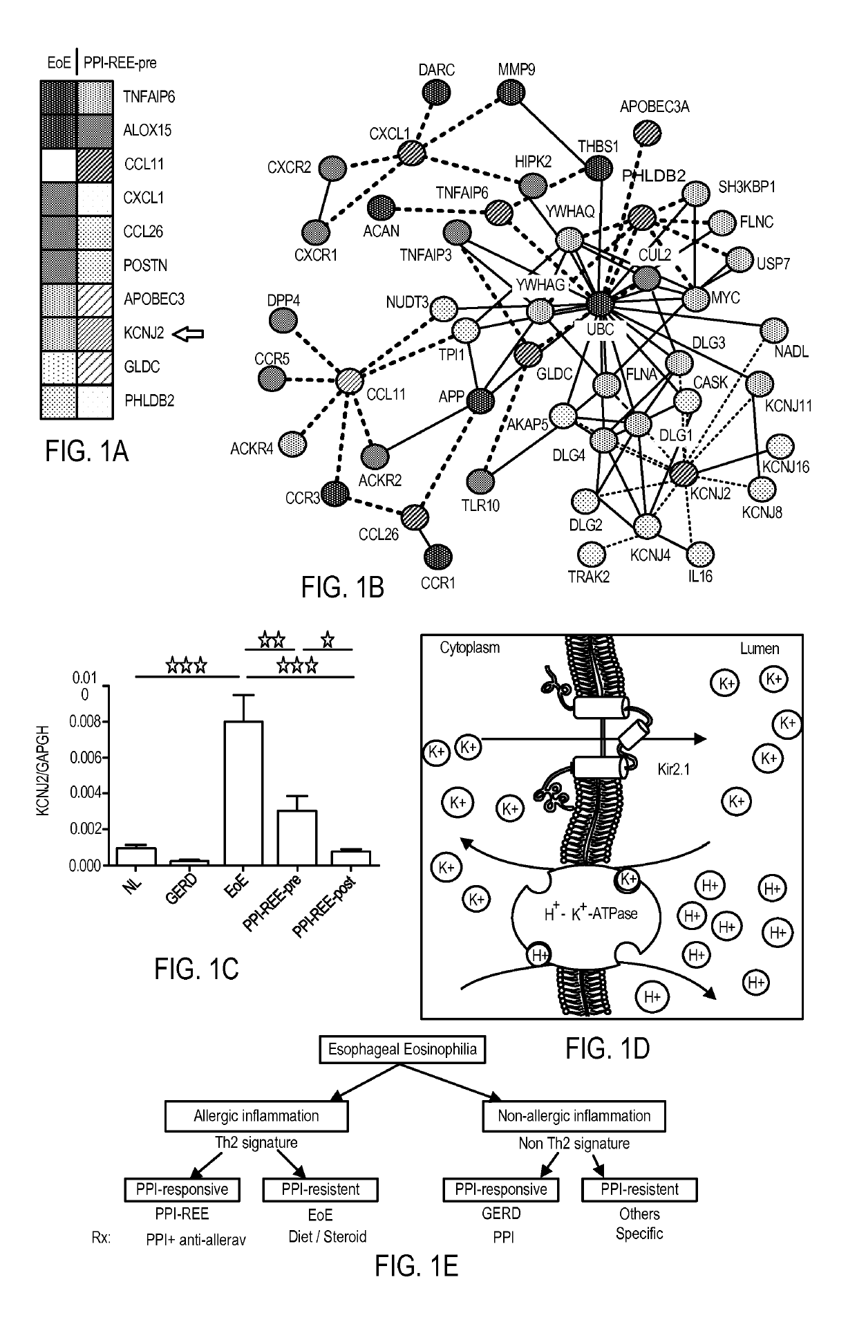 Diagnostic method for distinguishing forms of esophageal eosinophilia