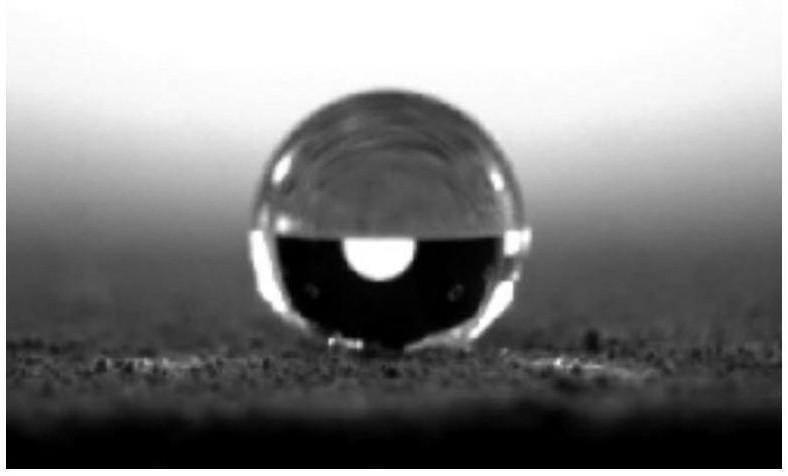 A biomimetic superhydrophobic anti-corrosion and scale-inhibiting coating and preparation method thereof
