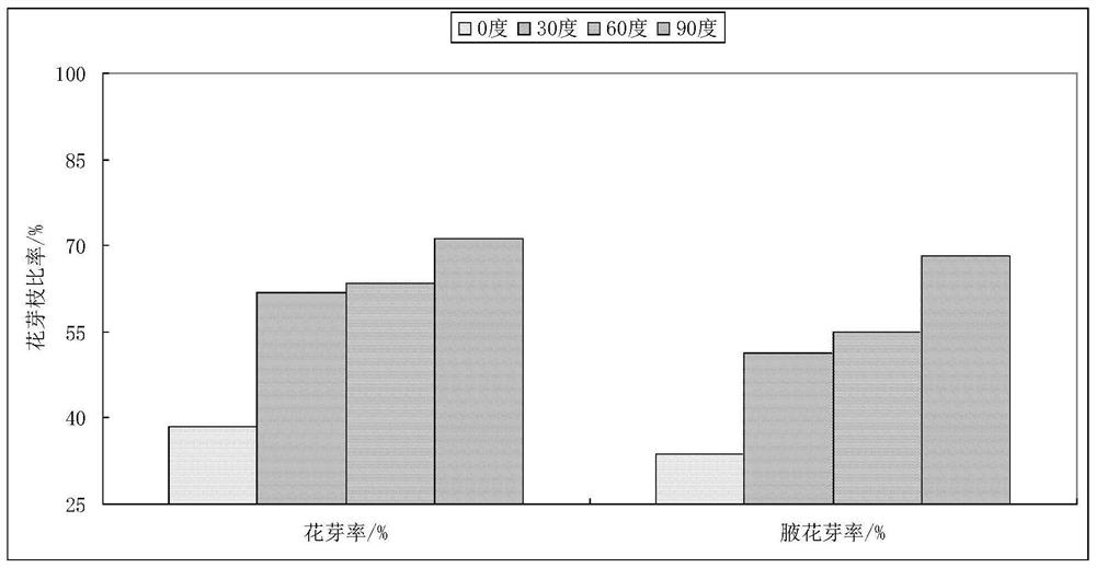 Method for improving fruit setting rate, fruit quality and field yield of Eli No. 2 pear and application thereof