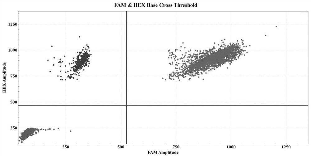 Drop-off ddPCR method and kit for quantitatively detecting NPM1 gene mutation