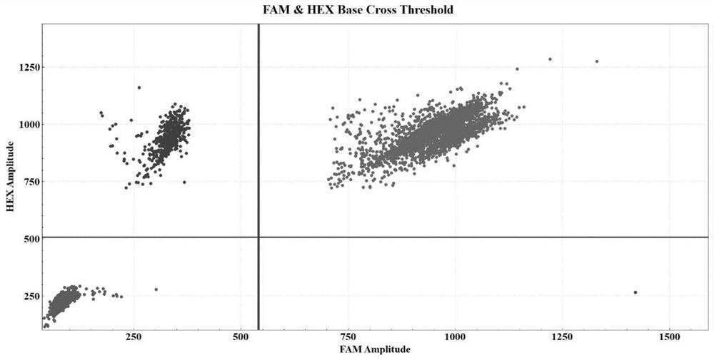 Drop-off ddPCR method and kit for quantitatively detecting NPM1 gene mutation