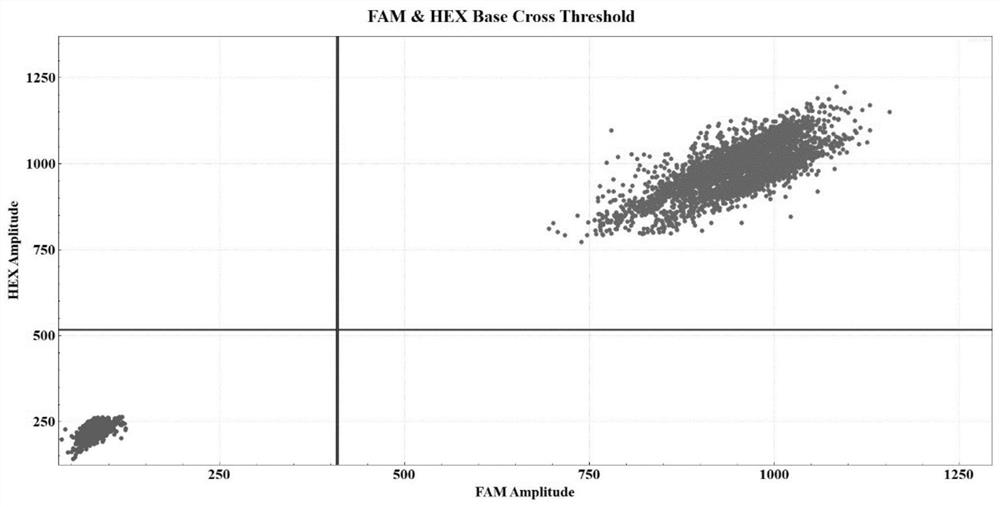 Drop-off ddPCR method and kit for quantitatively detecting NPM1 gene mutation