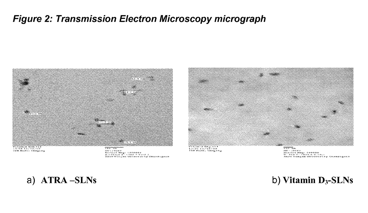 Process for preparing solid lipid sustained release nanoparticles for delivery of vitamins