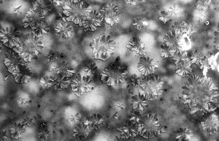 Macrocrystal particles capable of forming crystal flower, dry particle combination, particles for ceramic, ceramic and preparation method of ceramic