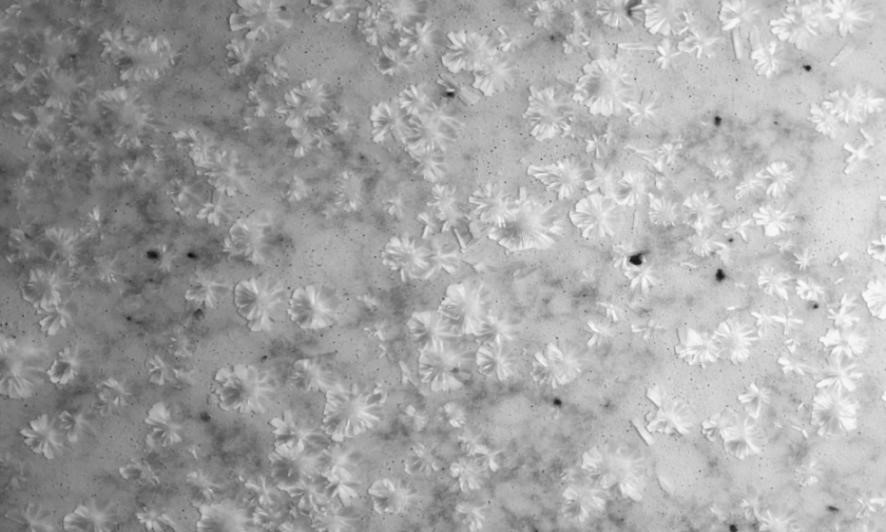 Macrocrystal particles capable of forming crystal flower, dry particle combination, particles for ceramic, ceramic and preparation method of ceramic