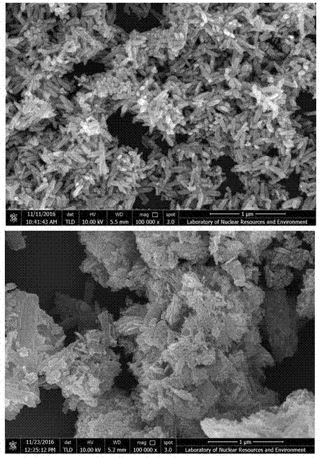 Preparation method of zinc oxide nanorod/g-C3N4 nanosheet composite photocatalyst material
