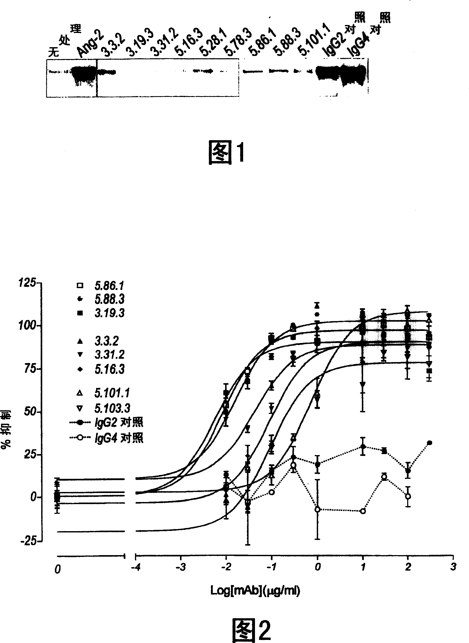 Antibodies directed to angiopoietin-2 and uses thereof