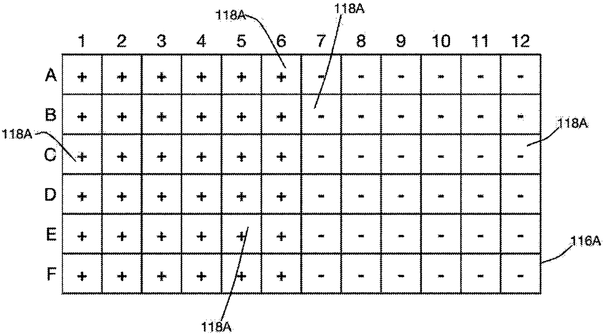 System and method for automatically analyzing phenotypical responses of cells